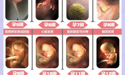 步长稳心颗粒(无糖型)网- 步长稳心颗粒多少钱一盒批发知识,分享步长稳心颗粒效果怎么样